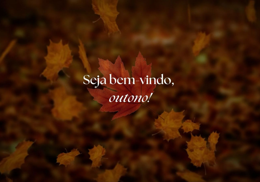 A música, a leitura e o outono.