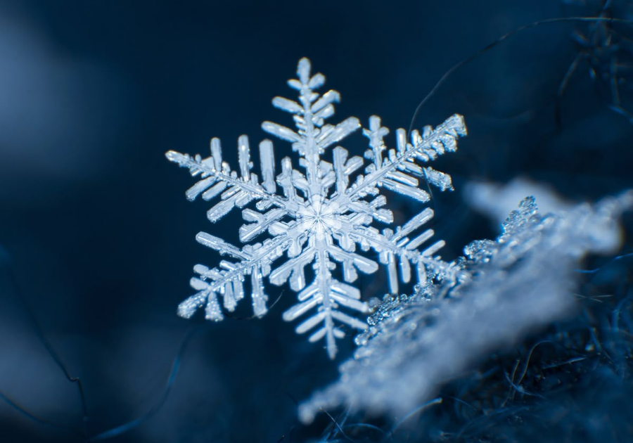 A música, a leitura e o inverno