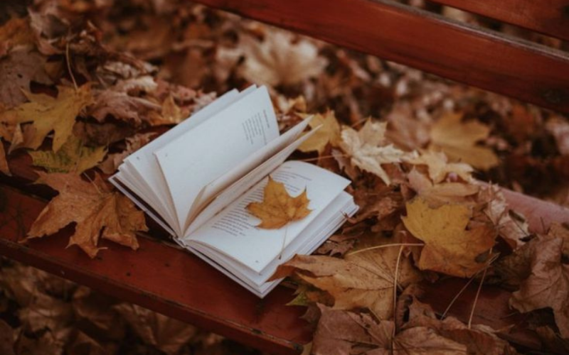 Indicações de livros para o outono pt.2