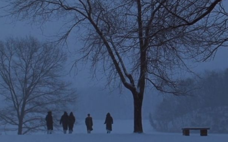 Quando as Estações Falam: O Inverno na Literatura e no Cinema