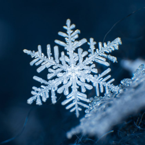 A música, a leitura e o inverno