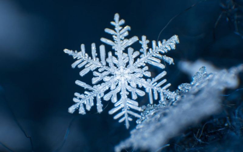 A música, a leitura e o inverno