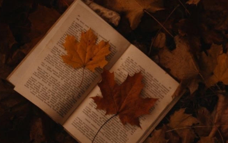 Indicações de leituras para o outono.
