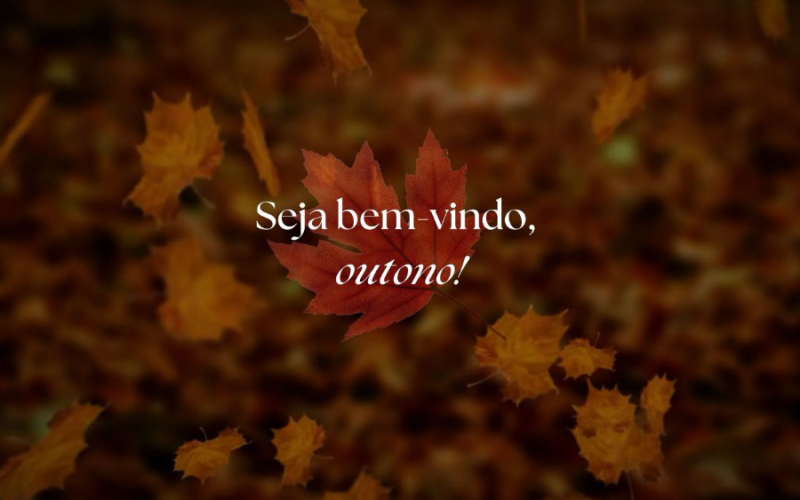 A música, a leitura e o outono.