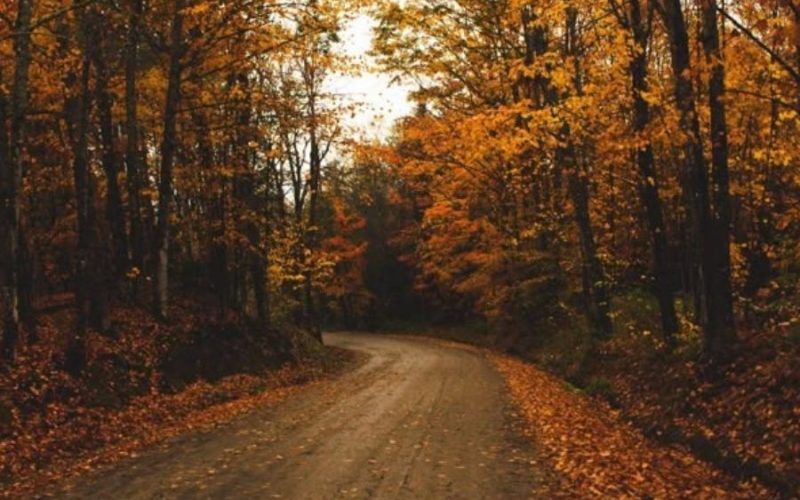 Quando as Estações Falam: O outono na literatura e no cinema